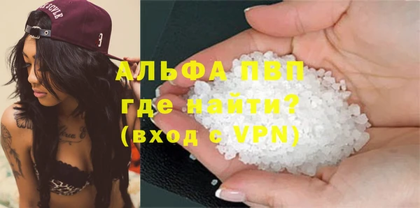 стафф Новокубанск