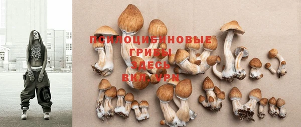 ГАЛЛЮЦИНОГЕННЫЕ ГРИБЫ Новодвинск