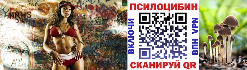Псилоцибиновые грибы Cubensis  Купить где  Лобня 